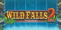 Cover art for Wild Falls 2 slot