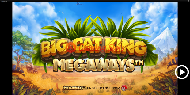 Game Intro for Big Cat King Megaways slot from BluePrint Gaming
