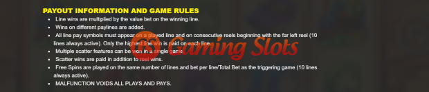 Game Rules for Genie Jackpots Big Spin Frenzy slot from BluePrint Gaming