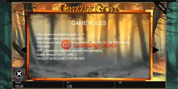Game Rules for Grizzly Gold slot from BluePrint Gaming