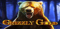 Cover art for Grizzly Gold slot