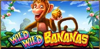 Cover art for Wild Wild Bananas slot