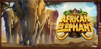 Cover art for African Elephant slot