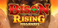 Cover art for Bison Rising Megaways slot