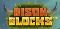 Cover art for Bison Blocks slot