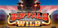 Cover art for Buffalo Goes Wild slot