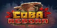 Cover art for Coba Reborn slot
