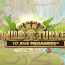 wild turkey megaways slot banner