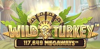 Cover art for Wild Turkey Megaways slot