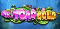 Cover art for Mr Toad Gold Megaways slot