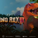 raging rex 3 slot play'n go banner