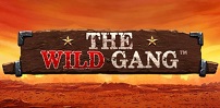 Cover art for The Wild Gang slot