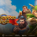 sherwood gold slot from play'n go banner