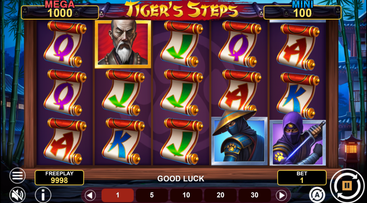 base game of 1spin4win by Tiger’s Steps Hold and Win