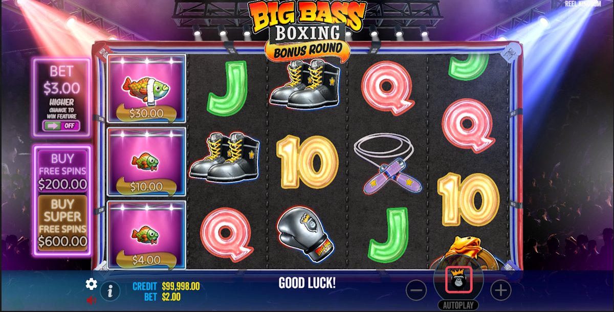 Base game of Big Bass Boxing Bonus Round by Pragmatic Play