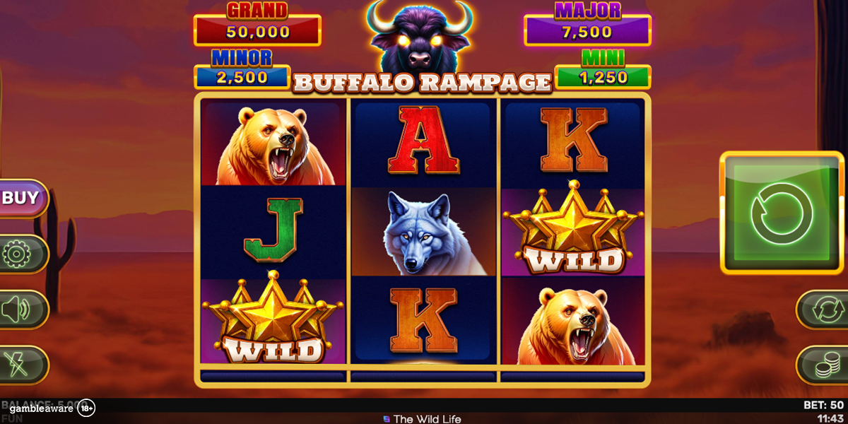 Base game in Buffalo Rampage Hold & Hit 3x3 by Spinomenal