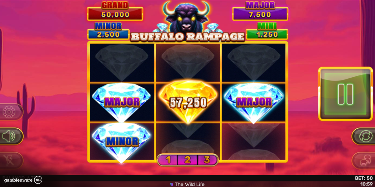 Bonus game in Buffalo Rampage Hold & Hit 3x3 by Spinomenal