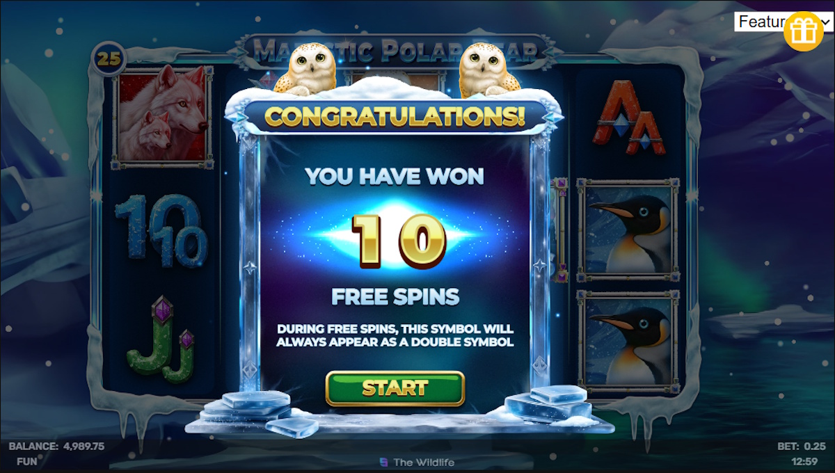 Free spins won in Majestic Polar Bear by Spinomenal
