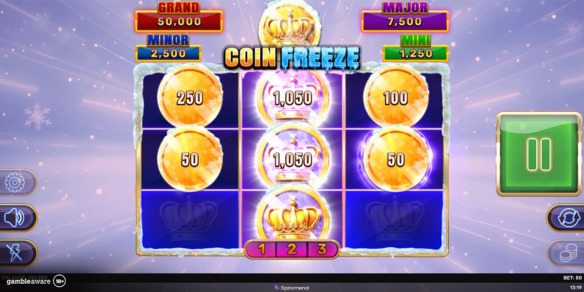 Bonus game in Coin Freeze Hold & Hit 3x3 by Spinomenal